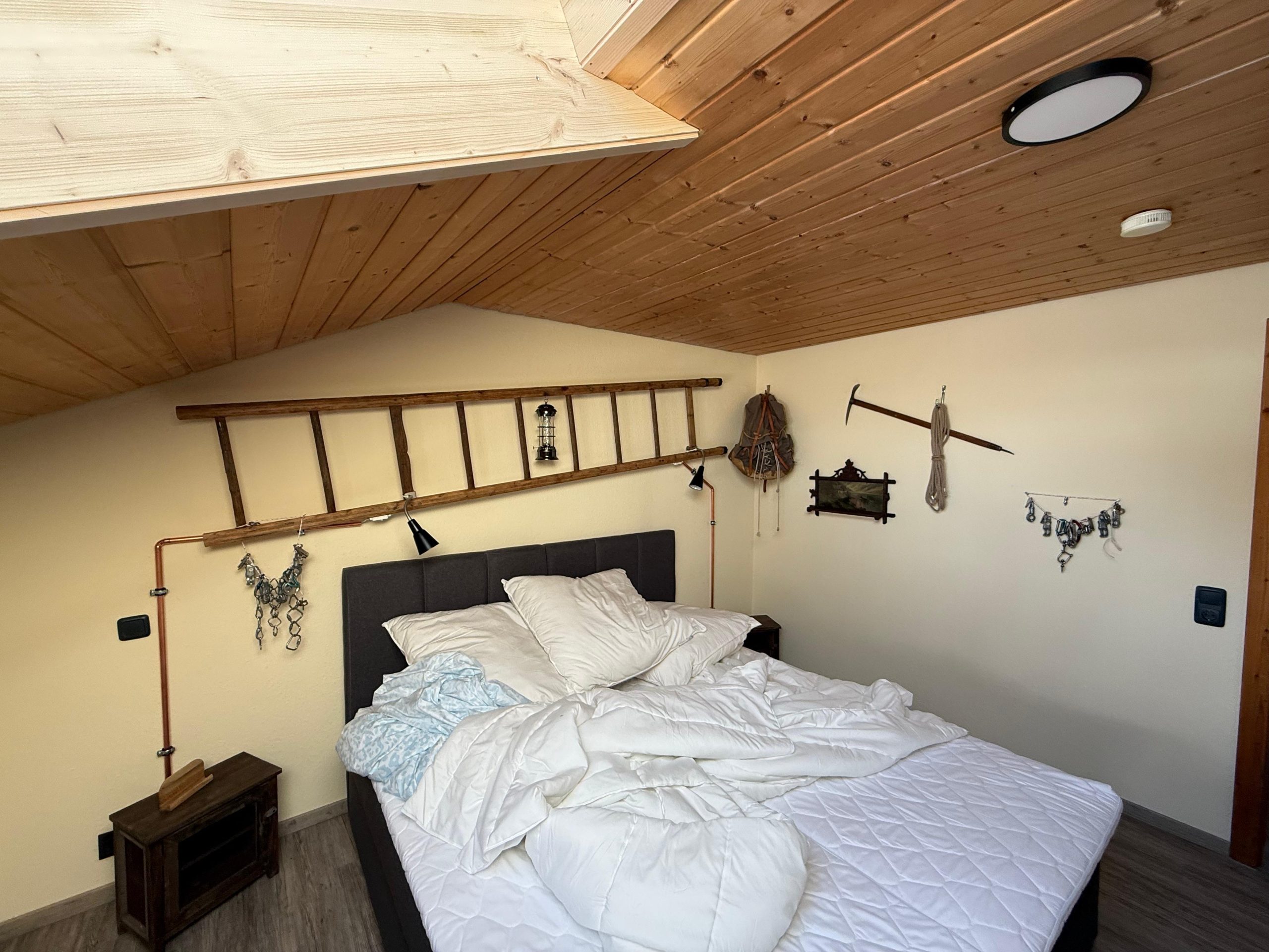 WhatsApp Image 2026-02-07 at 14.29