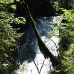 IMG-20230904-WA0009
