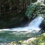 IMG-20230904-WA0019