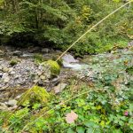 oberer-hausbachklamm-bachlauf-3