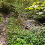 oberer-hausbachklamm-bachlauf-4-768x1024