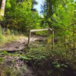 oberer-hausbachklamm-treppe-1