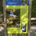 unterer-hausbachklamm-weiler-simmerberg-34-768x1024