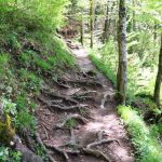 wanderung-buchenegger-wasserfaelle-serpentinenweg