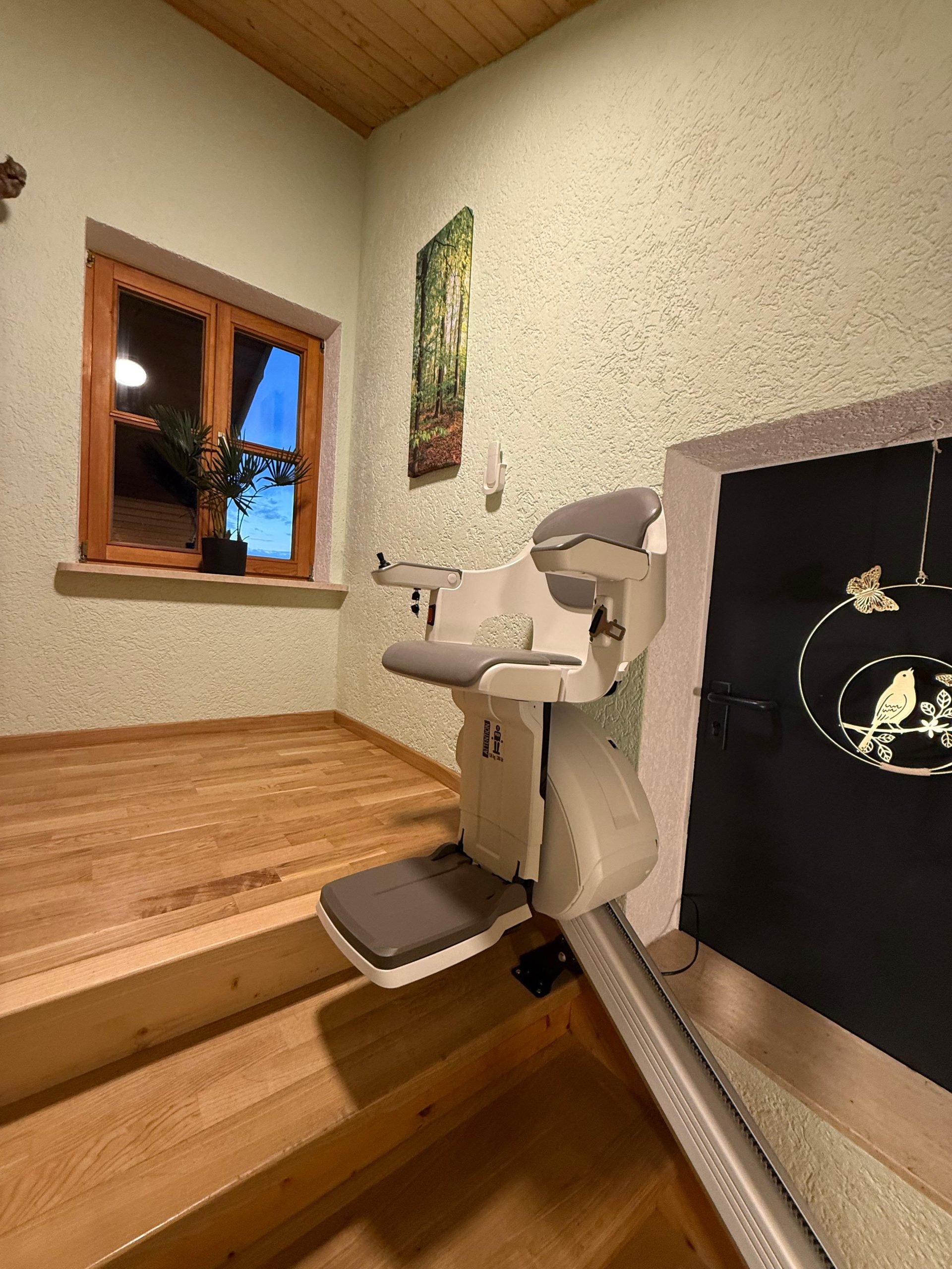 WhatsApp Image 2026-03-31 at 20.15