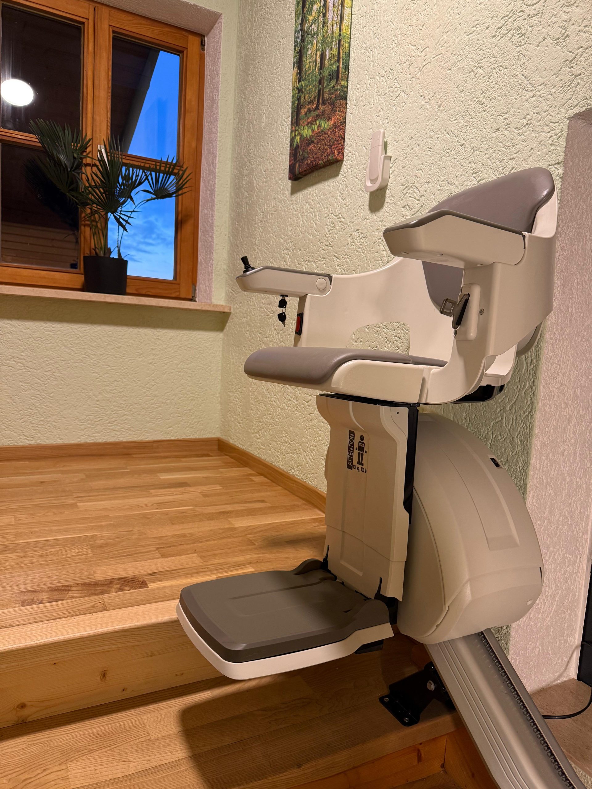 WhatsApp Image 2026-03-31 at 20.15